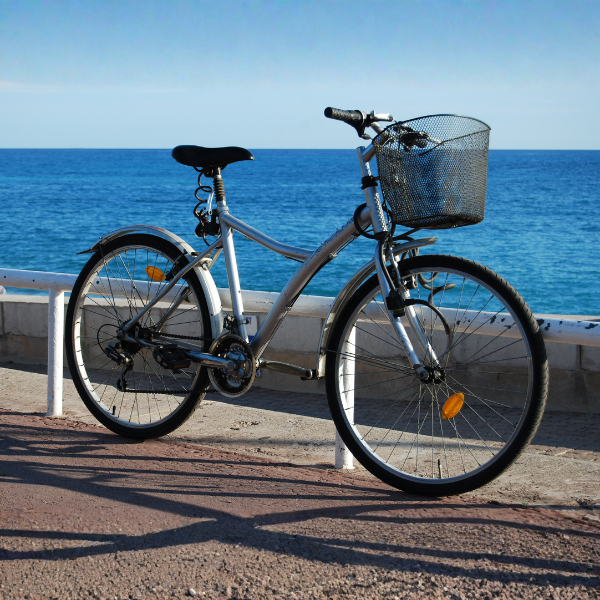 Bicicletta 500x500