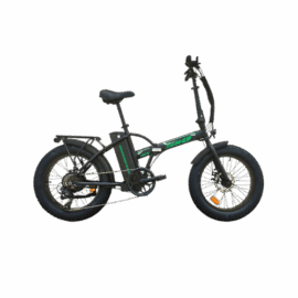 Bicicletta Elettrica